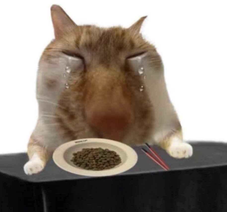 ICANTLIVE
PLZCOMEBACKJAY