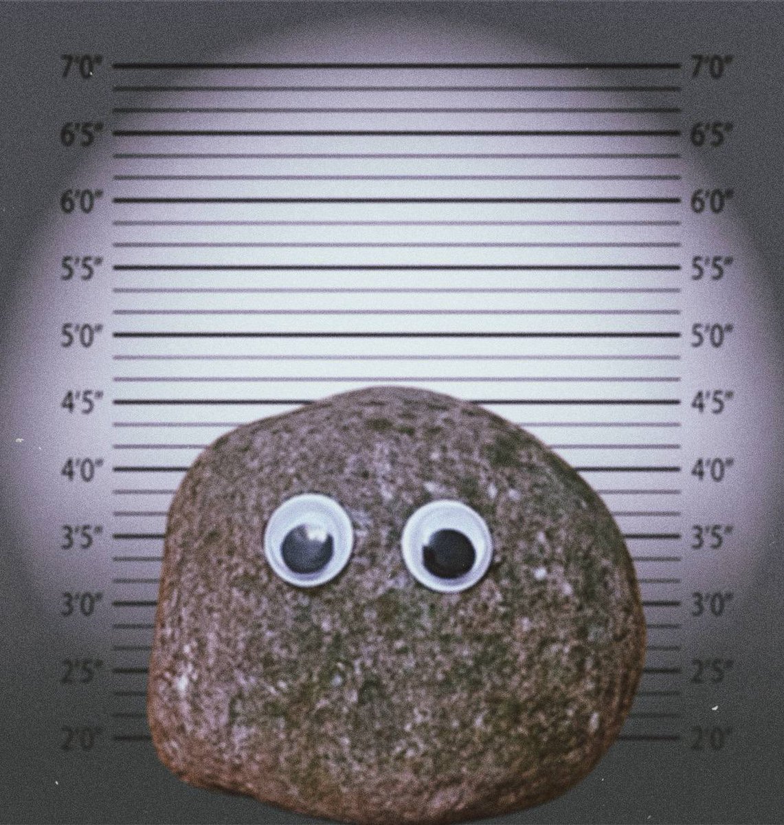 0xkitty69's tweet photo. Here's a simple reason why i went all in on $rocky from the start

Ticker: $rocky
$rocky ticker is very clear, catchy and fits the character

Narrative: It's just a rock 
It's just a rock with googly eyes also known as a pet rock. Crypto is often referred to a pet rock in its characteristic in that it really doesn't do anything but people somehow find it valuable. (sound similar to meme coins??)

Growth Protentional: Infinite
The ability to use the project character and accessorize it with your OWN traits and use it to raid or encompass your own persona has been a pivotal tool when shilling and simply bringing community together (a huge reason NFT communities truly are some of the strongest cult like communities we have seen to date).