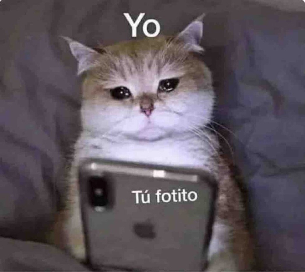 Guarromantico_'s tweet photo. Cuando no he visto a mi amorcito: https://t.co/X8XxzSZHJl