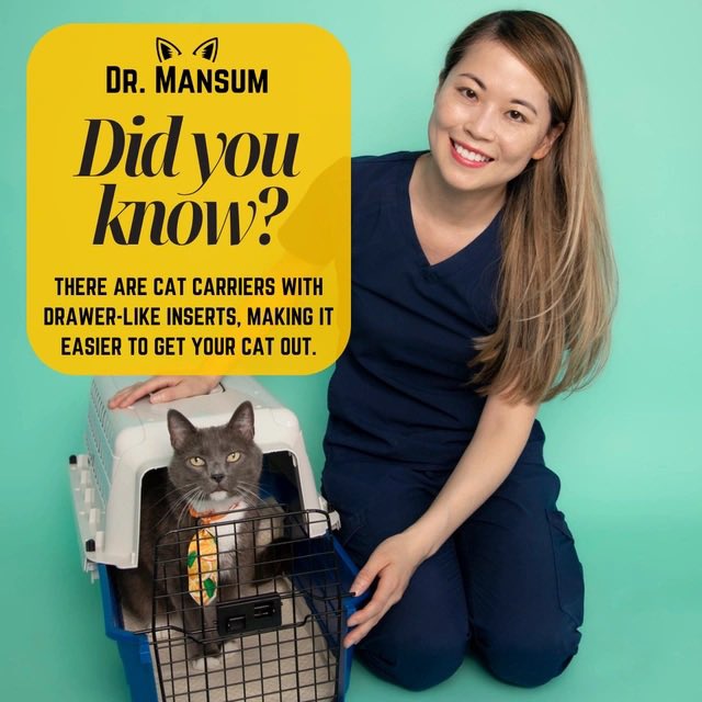 DID YOU KNOW?⁠ There are cat carriers designed with drawer-like inserts, making it MUCH easier to get your #cat out during vet visits! For more tips, check out my book, “The Ins and Outs of Cat Carriers on Amazon!