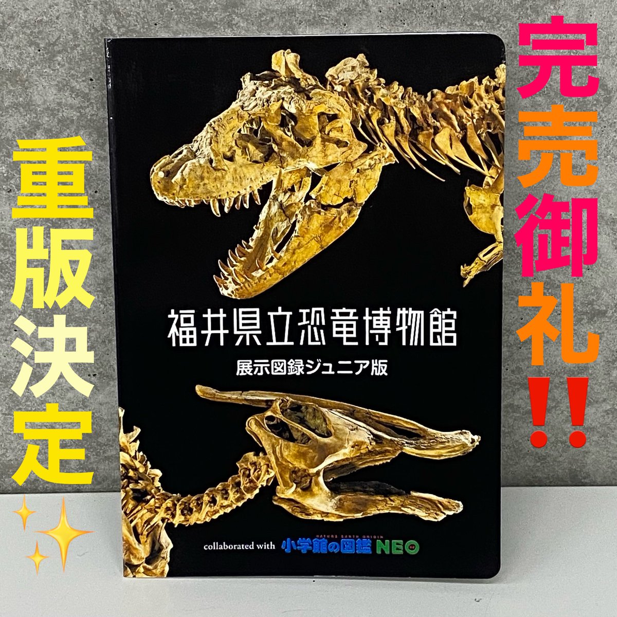 ジュラシックパーク 福井県立恐竜博物館 コラボ 非売品 グッズ 関係者配布品 福井県立恐竜博物館 on X: 