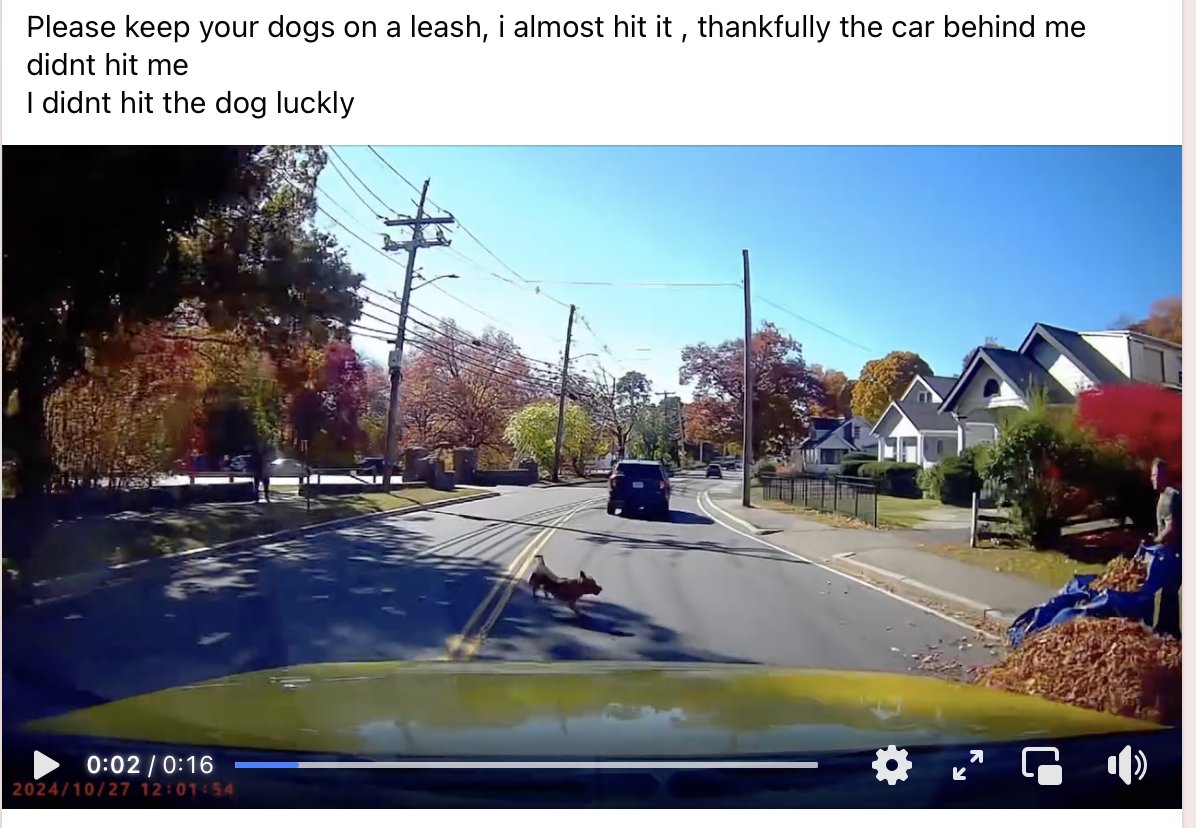 saulblum's tweet photo. A post on the local fb group, dash cam video of a driver who stopped in time as a dog ran out. This Waltham street — homes on one side, park on the other — is signed at 35mph, with 16-ft lanes. Driver was worried she'd be rear-ended. This should be designed for 25mph! https://t.co/tmvNkxfRMW