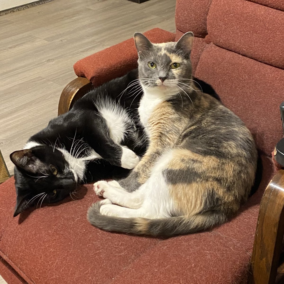 crilioon's tweet photo. This is how I find them https://t.co/DgTxdpudmR