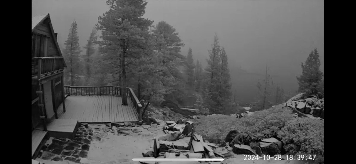 Echo Cam tweet media