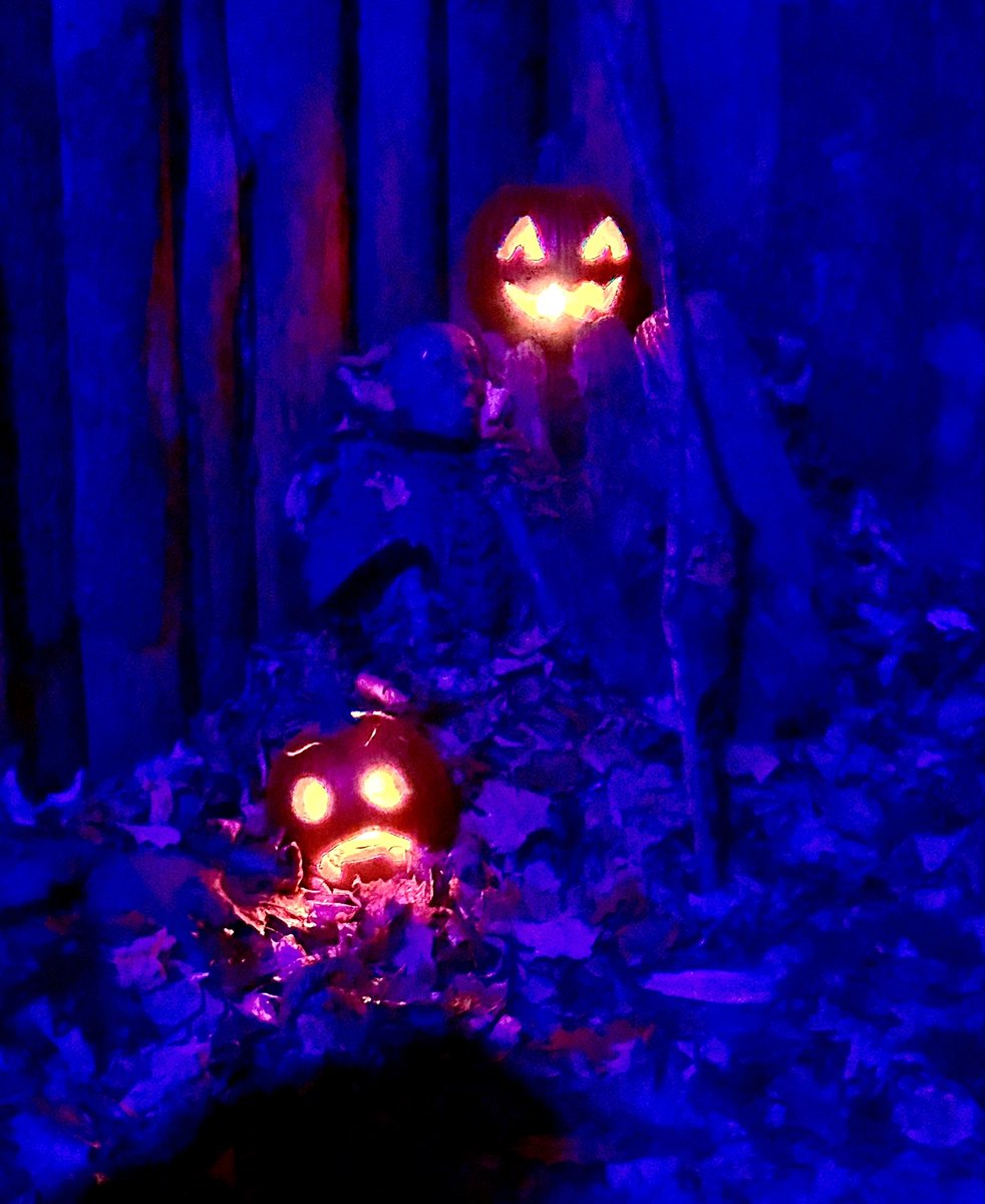 alissaTweets's tweet photo. Haunted Overload in NH
πππ»
#Halloween #2spooky https://t.co/hhYBlQhucU