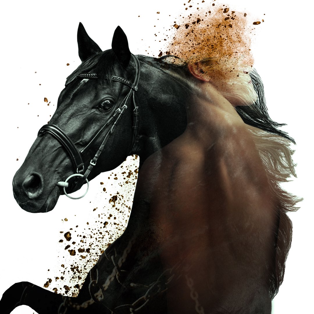 SportforJove's tweet photo. EQUUS
by Peter Shaffer
Directed by Margaret Thanos

23 OCT - 9 NOV | The Shed Theatre, Bella Vista Farm

*TICKETS ON SALE SOON*
For more info visit https://t.co/iYobQ4WnDe https://t.co/cN43zG42eq
