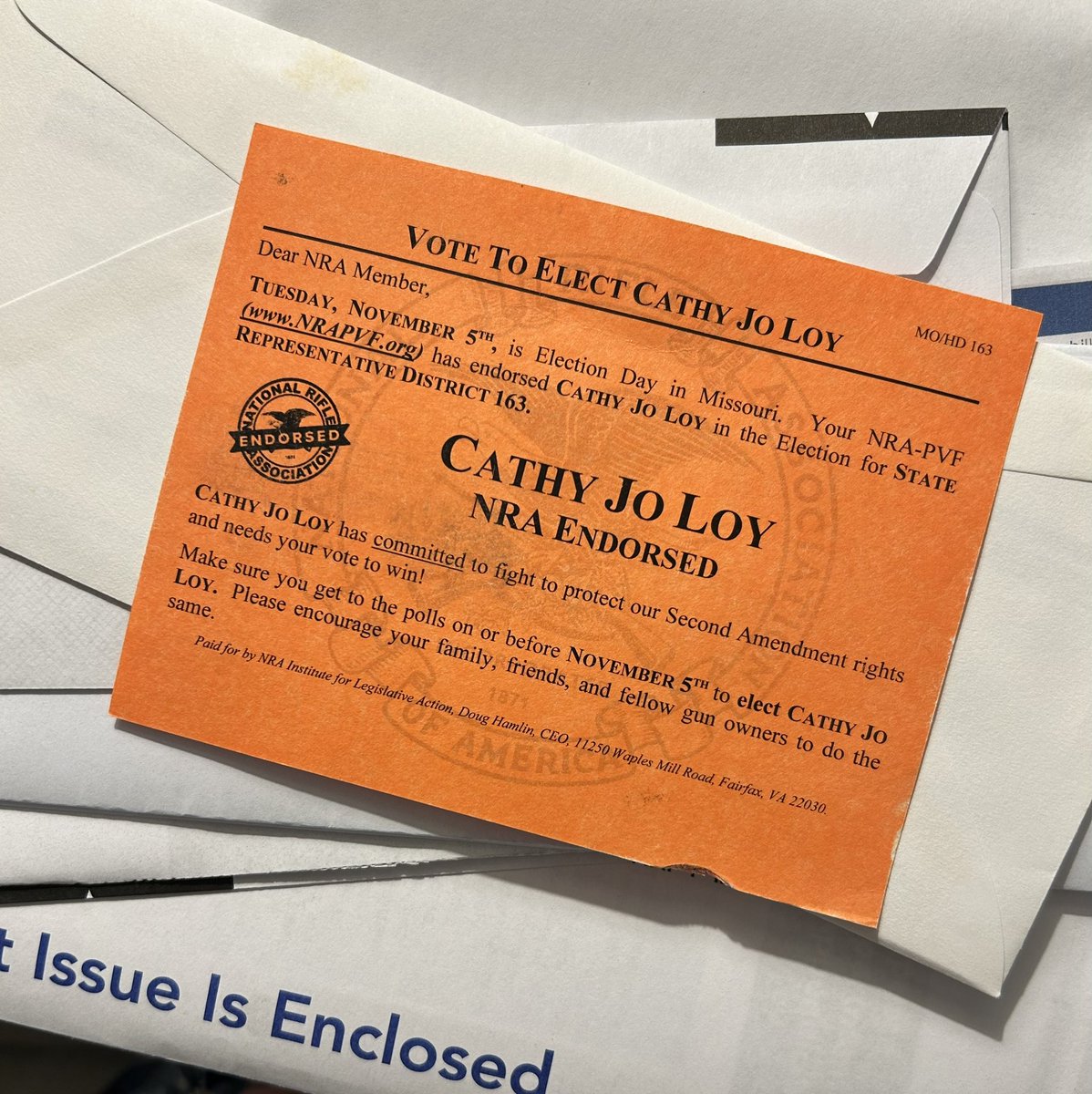 CJheartart's tweet image. Thank you @NRA for your endorsement. #Election2024 #Pro2A #MOHD163