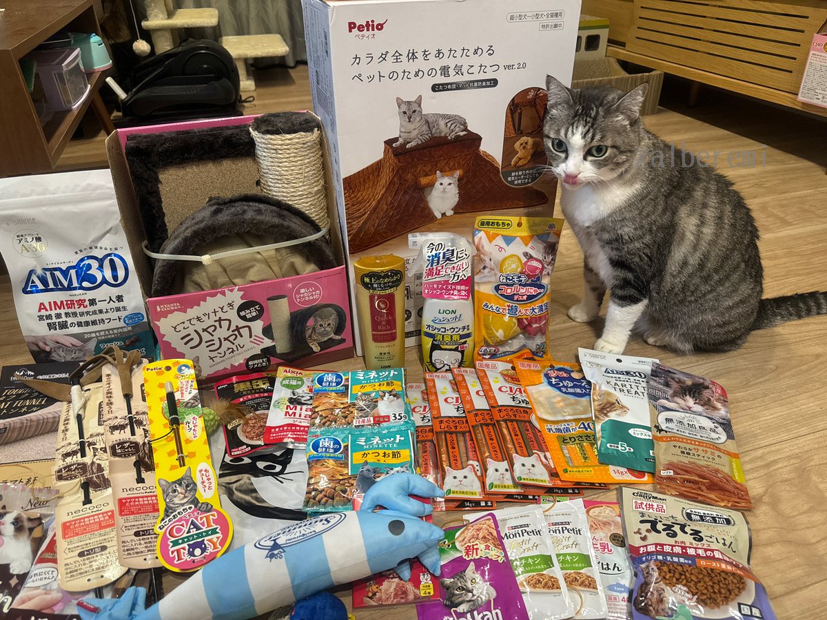 servant222's tweet photo. カンセキ祭りにて
2000円でこの戦利品✨
楽しかったぁ！ https://t.co/pqT66c2vke