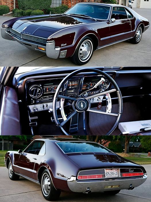 Quality Classics tweet media