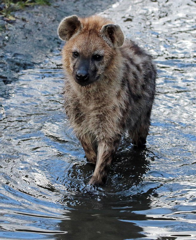 HourlyYeen's tweet photo. [🔗](https://t.co/I6sOE9s9li) https://t.co/5E3Au6rs0m