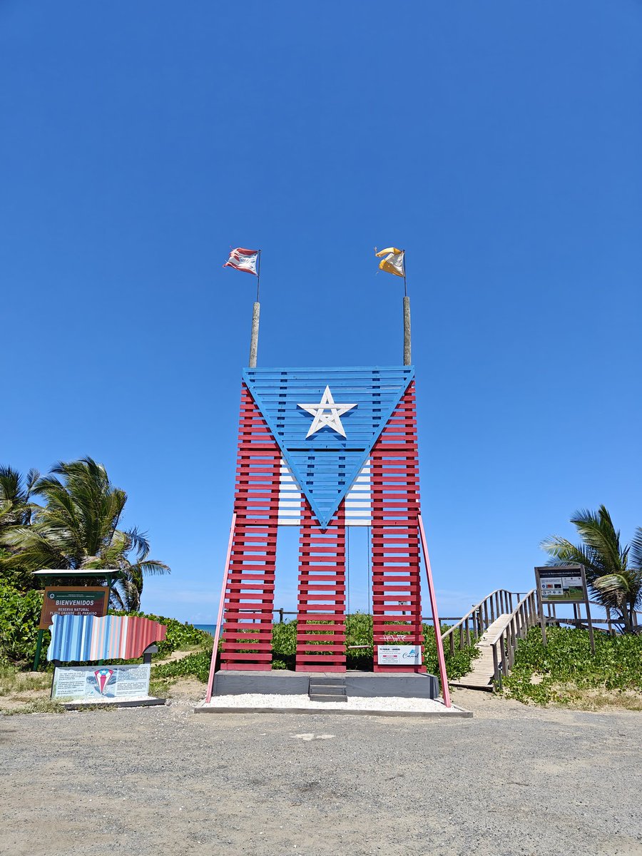 María Arce tweet media