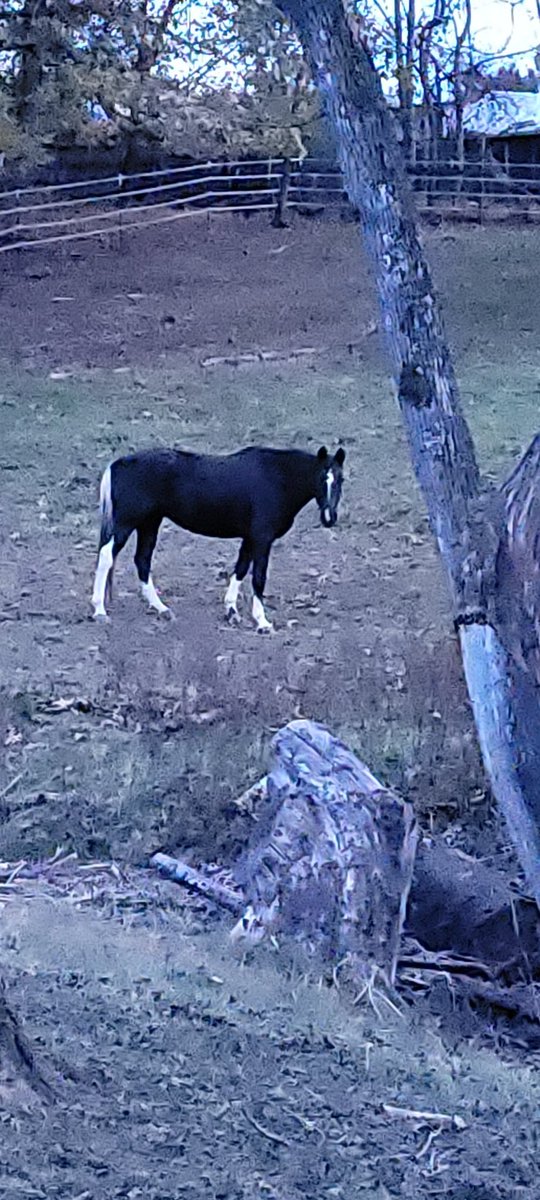 Jan Keifer (@keifer_jan) on Twitter photo 