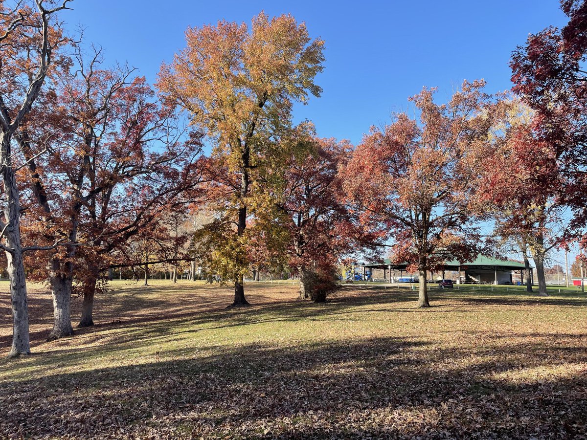 TaylorvilleDN's tweet photo. Taylorville Park Board Appoints Newest Member https://t.co/LvVWX1Rvk4 https://t.co/5HfZNxTEsK