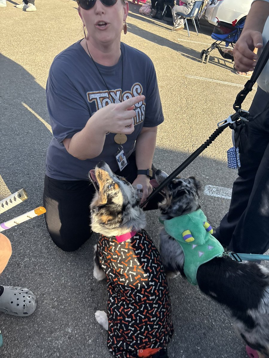 Jamie Pfeil tweet media