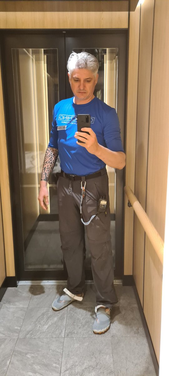 not reservoir dog tweet media