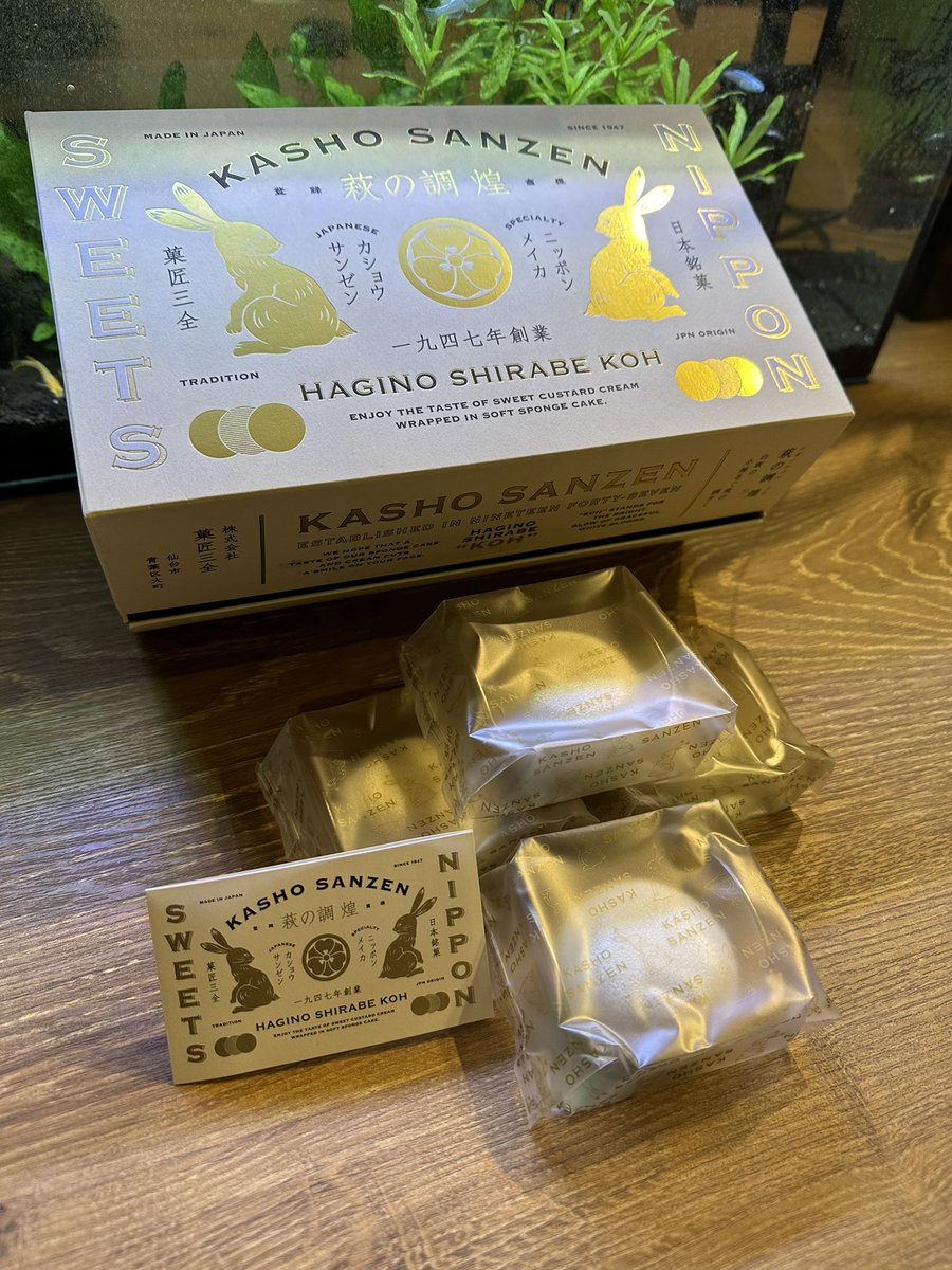 会員のSさんからお土産いただきました！

プロコワに来られるタイミングによっては食べれるかも？
皆さん、お土産定期的にくださって本当に嬉しい限りです😌