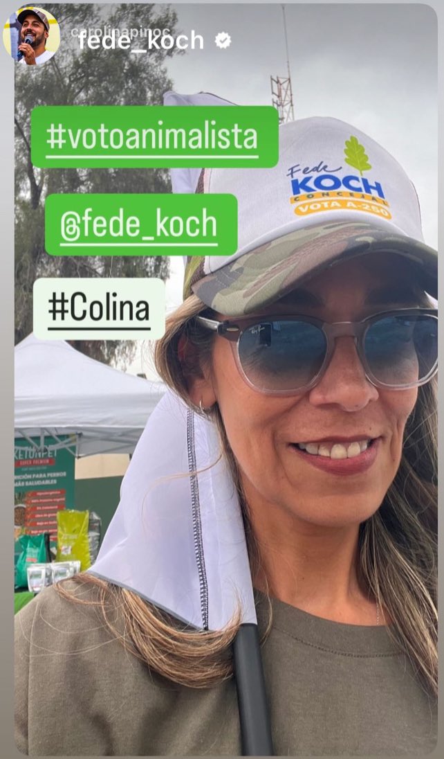 Caro 🌲 C. tweet media