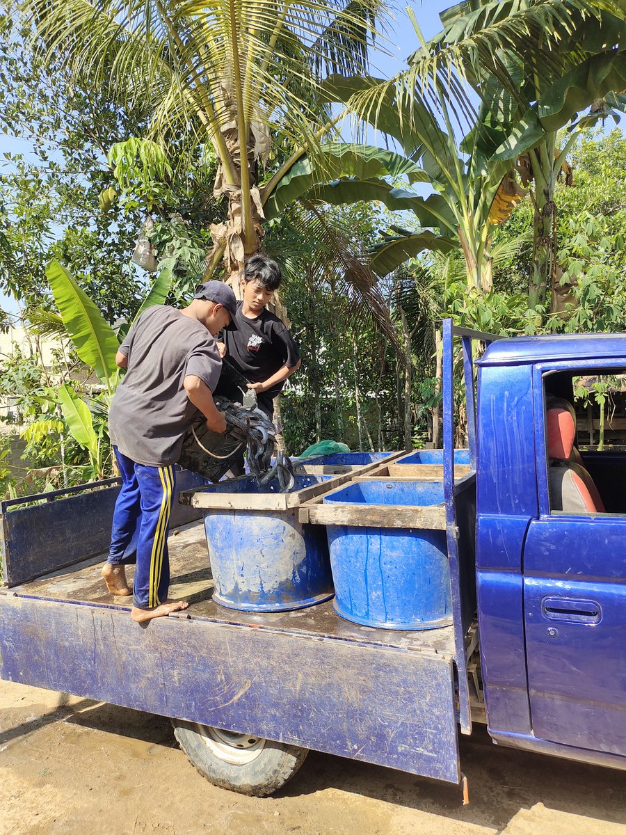 Fridudin tweet media