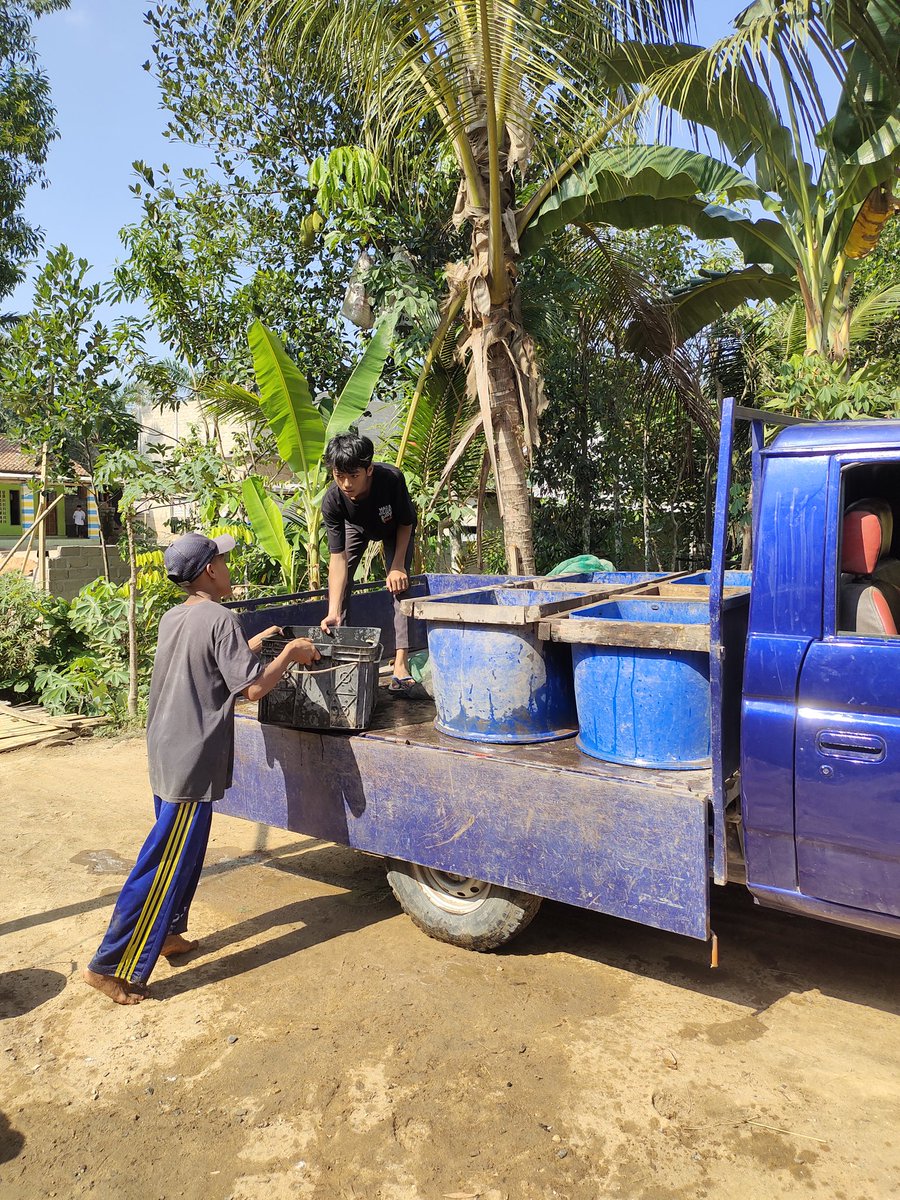 Fridudin tweet media