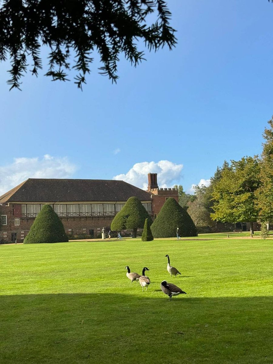 The only person you should try to be better than is yourself yesterday.