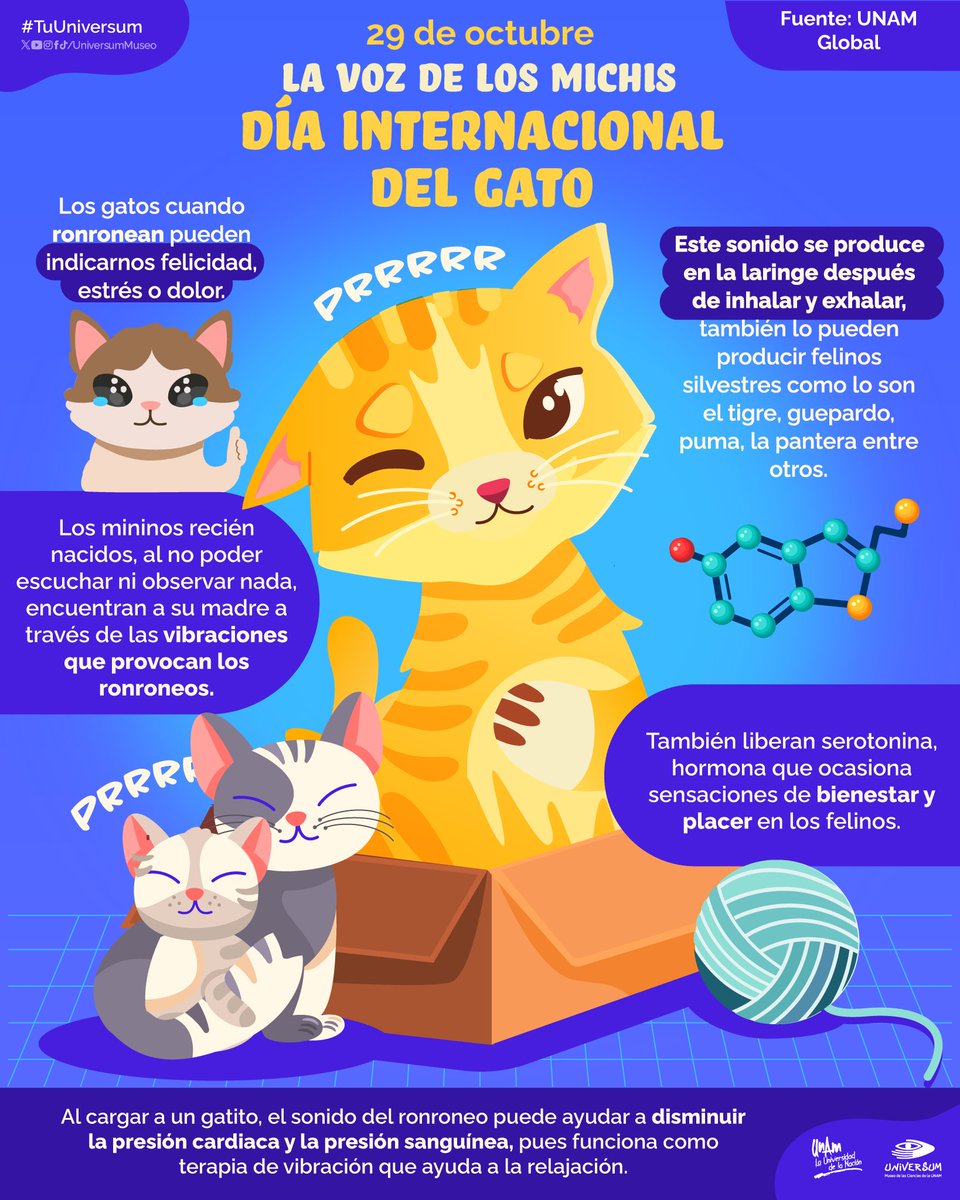 UniversumMuseo's tweet photo. Hoy celebramos a los michis. 😻🐈💓

#TuUniversum https://t.co/udsu1YycuB