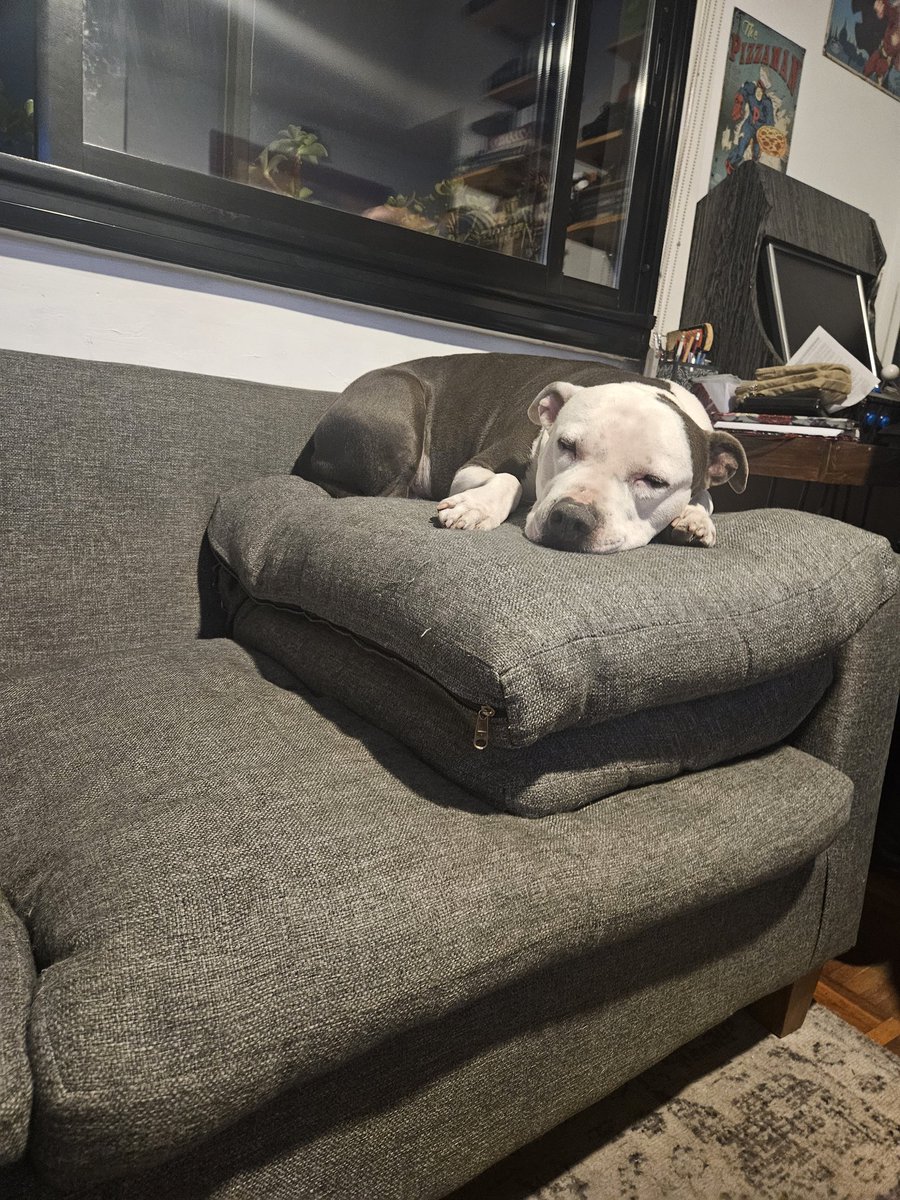 Maru Lotito tweet media