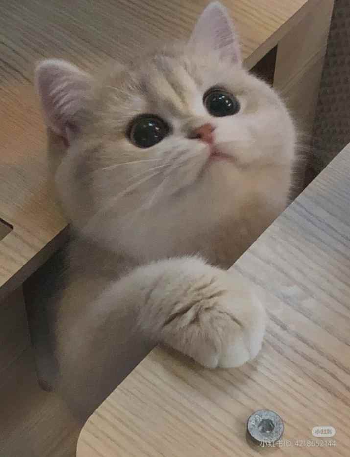 Johnny376's tweet image. Good day, it's Johnny at your service