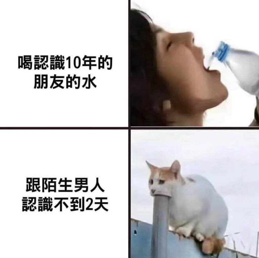 媒体预览