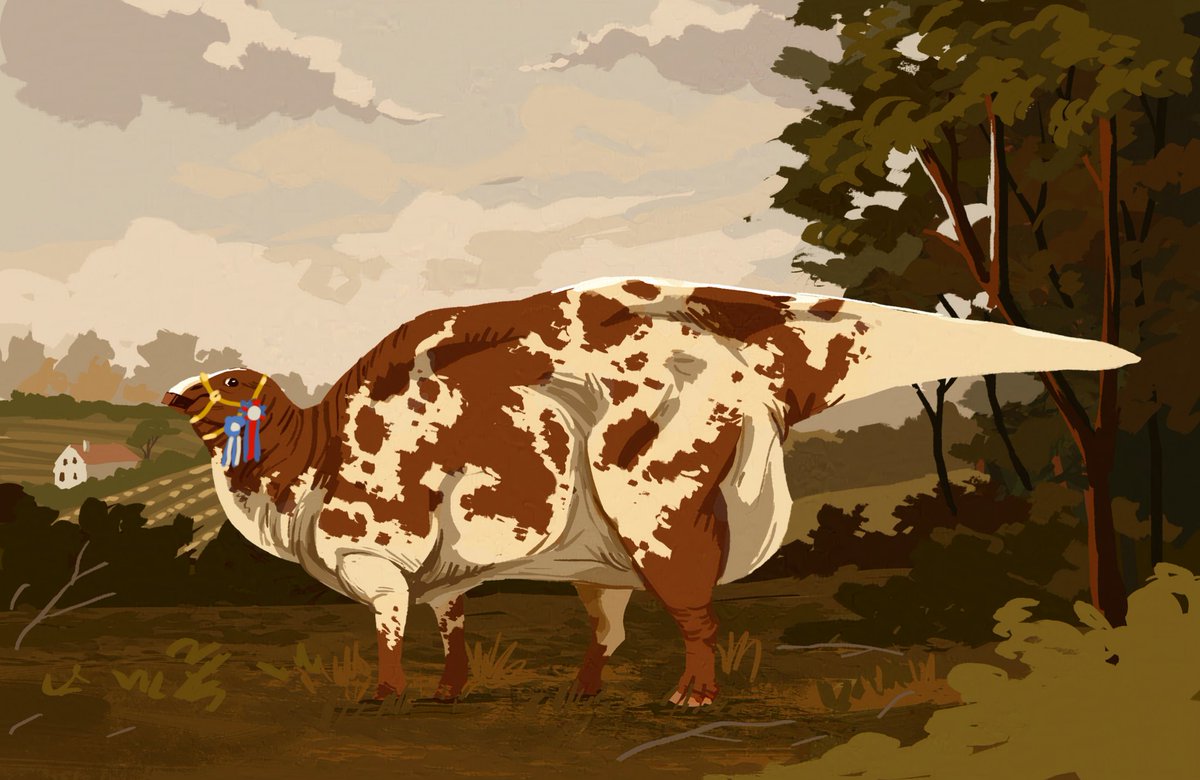 NetchimenRevery's tweet photo. Award winning prized cow https://t.co/RHqltsvlud