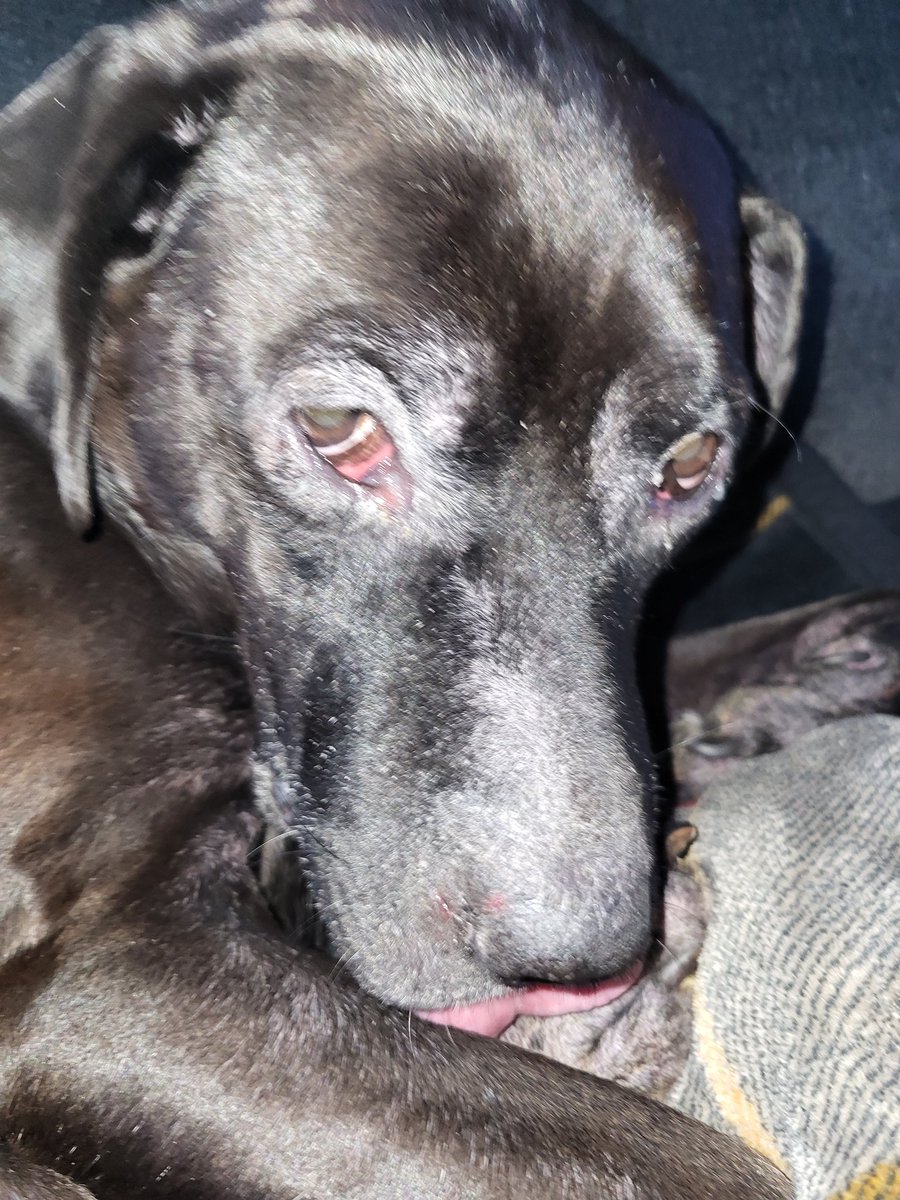 The Daily BaileyOTR tweet media