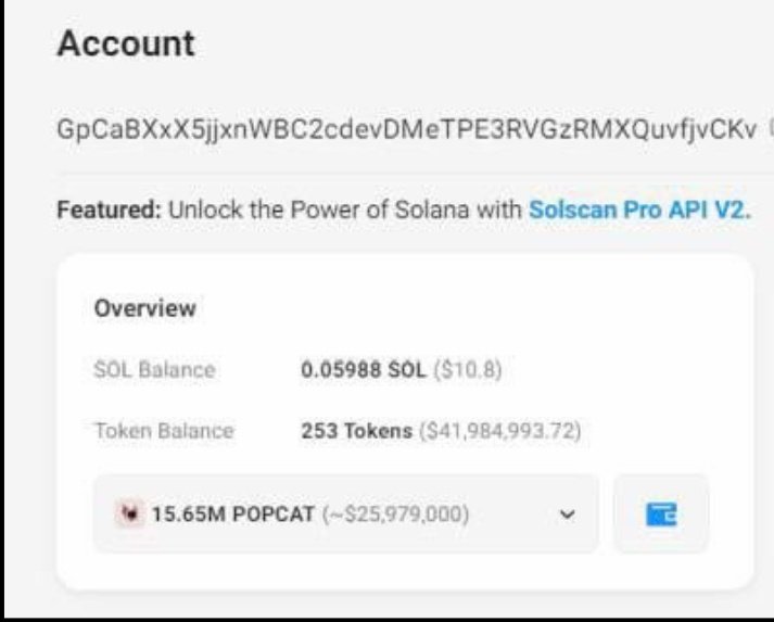 CryptoCyber12's tweet photo. $47 @Trump47forUSA

$popcat whale 🐋 buy 171 #sol in #47  no doubt with in 2 3 days all you see #47 above 50m again warn you don't sell in 1k 2k$ profit think some big 100k$ to 1m+$ it's 100% possible on $47 @Trump47forUSA let's go

Believe me guarantee you team #47 is loyal 💯. https://t.co/SigBkMpQ3D