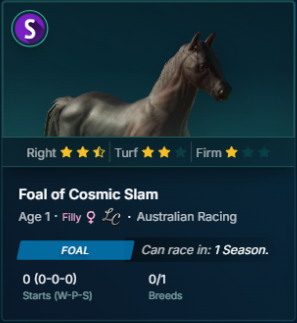 Australian Racing Stables tweet media