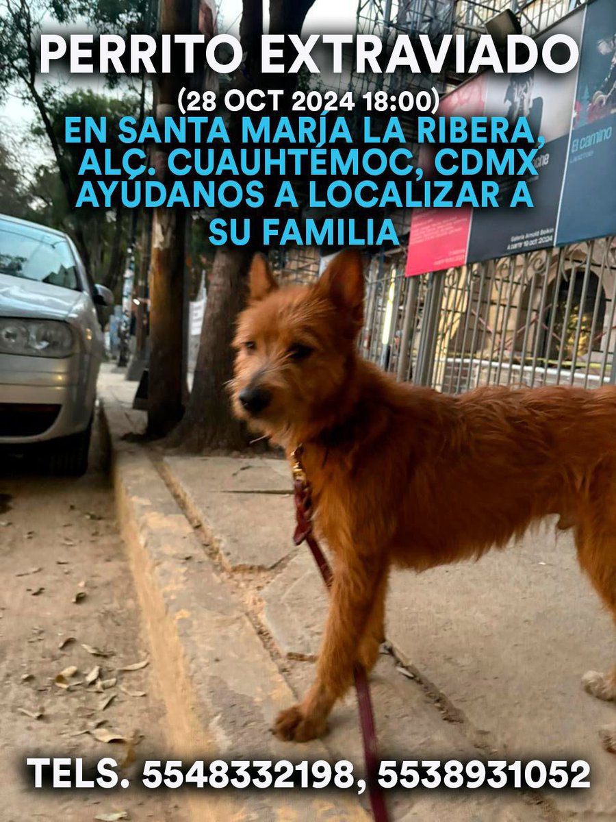 voyamiar's tweet photo. Servicio a la comunidad: https://t.co/krKtuzypYX
