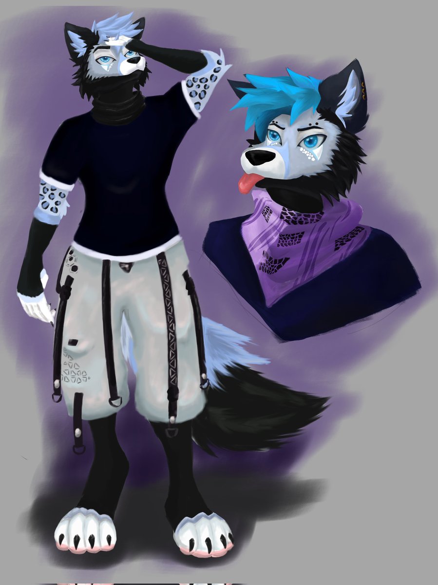 Dani Wolf tweet media