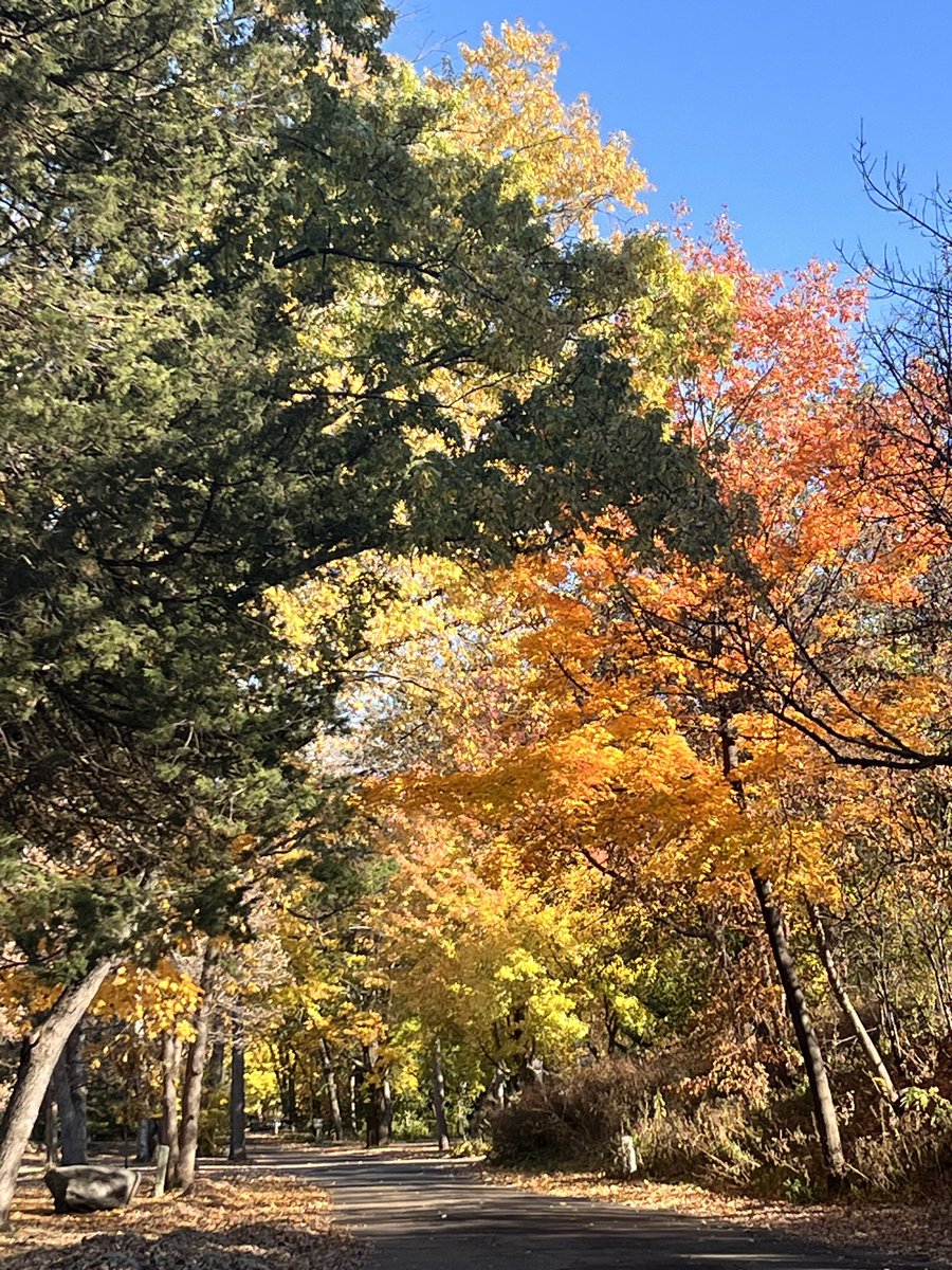 Mark Daly tweet media