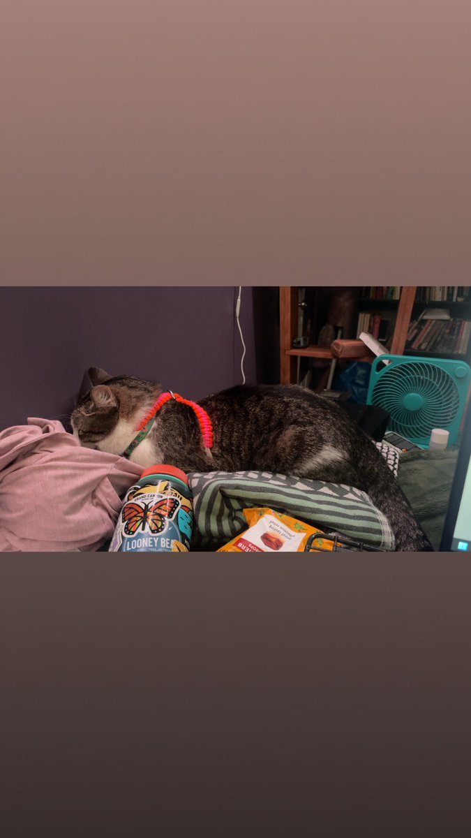 a_seafox's tweet photo. @YourPalRoss i think my son is very cute https://t.co/cLqWnsYwkU