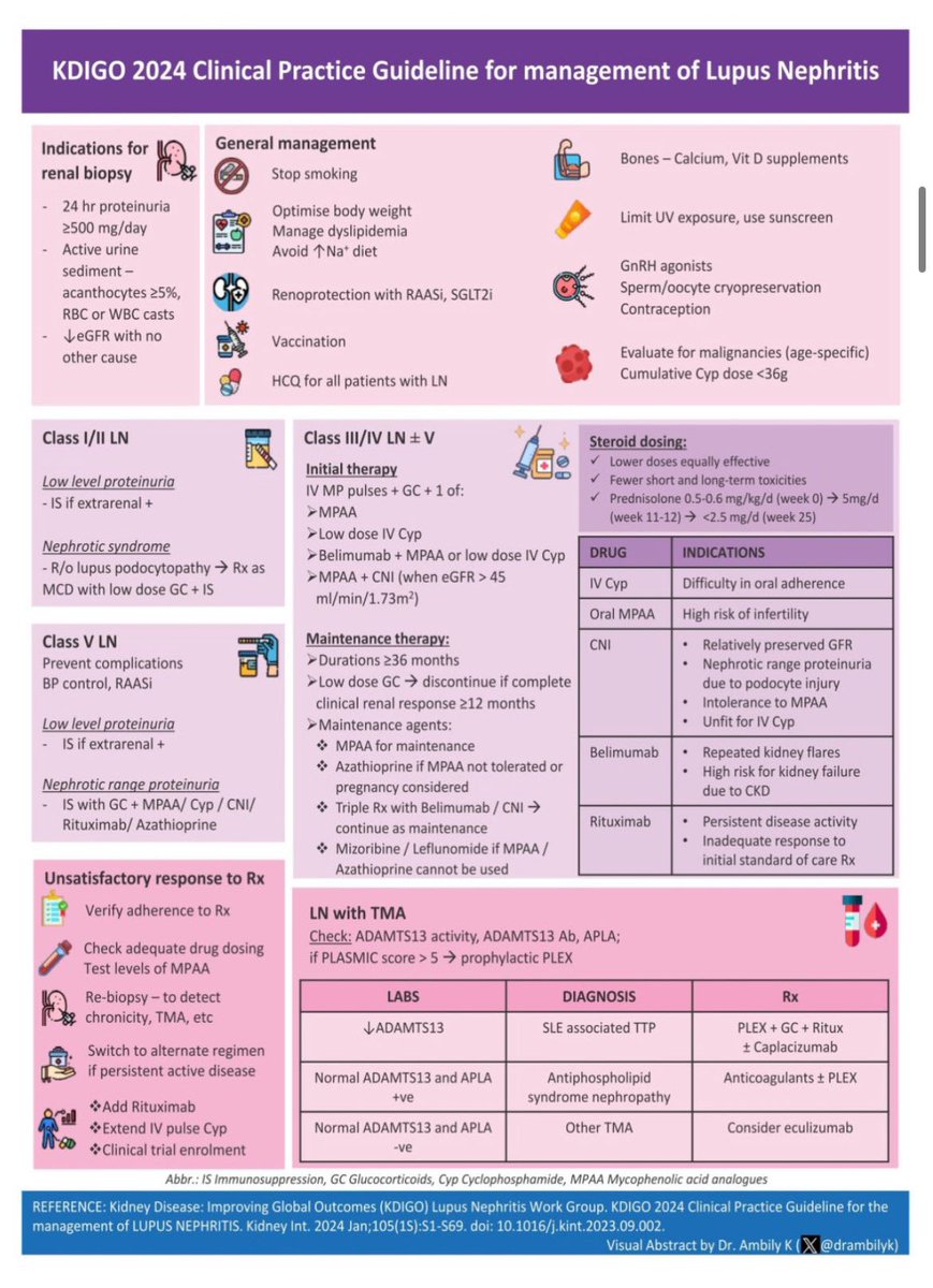 JasmineNephro's tweet photo. 🦋Lupus Nephritis Management 

Infographic by @drambilyk @goKDIGO guidelines 2024 https://t.co/2su3R4BFwU
