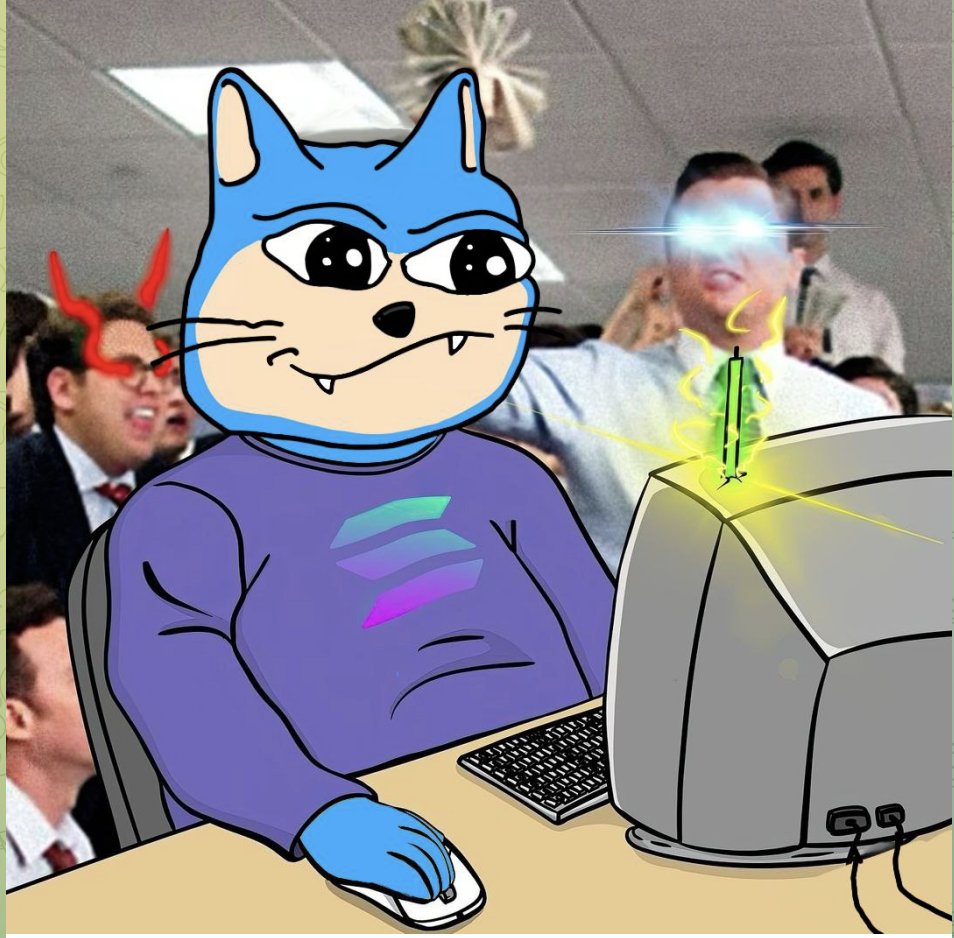 lolcat tweet media