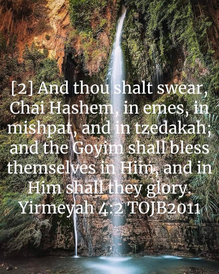 OurYeshua's tweet photo. Yirmeyah 4:2 TOJB2011
[2] And thou shalt swear, Chai Hashem, in emes, in mishpat, and in tzedakah; and the Goyim shall bless themselves in Him, and in Him shall they glory.

https://t.co/cA2scBjg5j https://t.co/pbZUeq4sVS