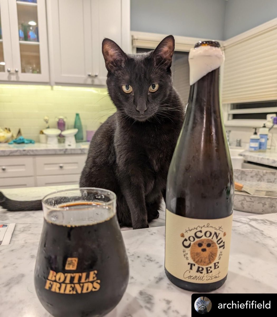 Beer Cats (@catsontap) on Twitter photo Did #beercat Felix just fall out of a coconut tree, and miss out on #BlackCatDay?
Nah, just on feline time with <a href="/hpbrewery/">Highland Park Brewery</a> coconut stout. Did #beercat Felix just fall out of a coconut tree, and miss out on #BlackCatDay?
Nah, just on feline time with <a href="/hpbrewery/">Highland Park Brewery</a> coconut stout.