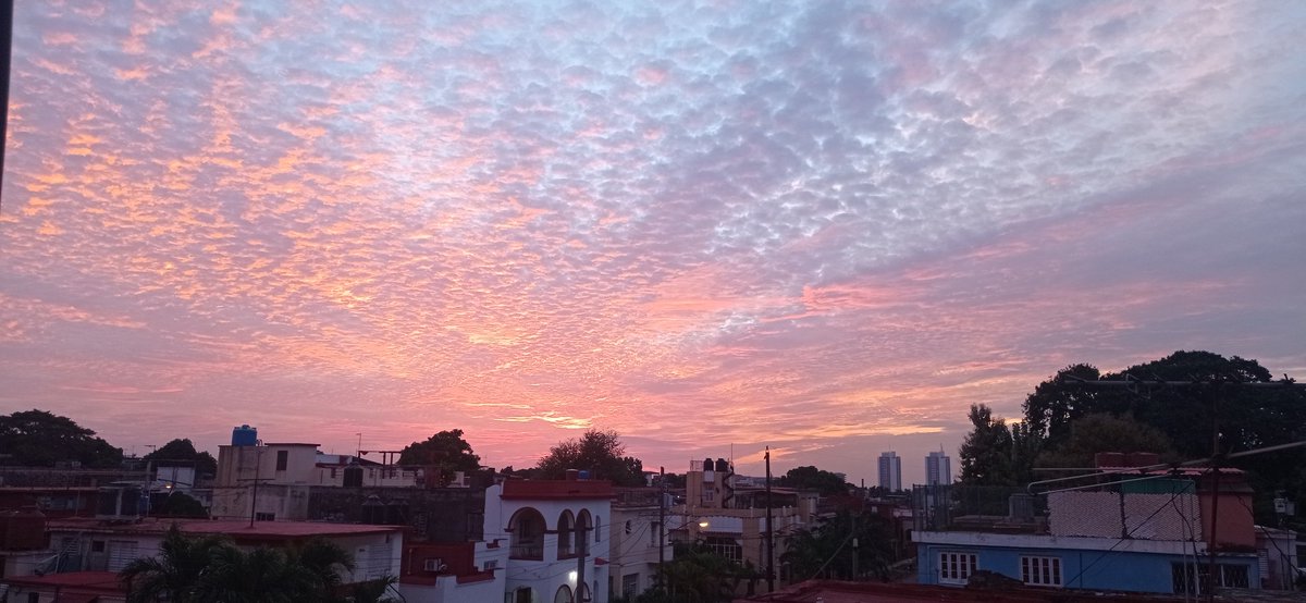 El único peligro de la vida es vivirla🧘