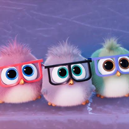 #imkevin and friends 🐣