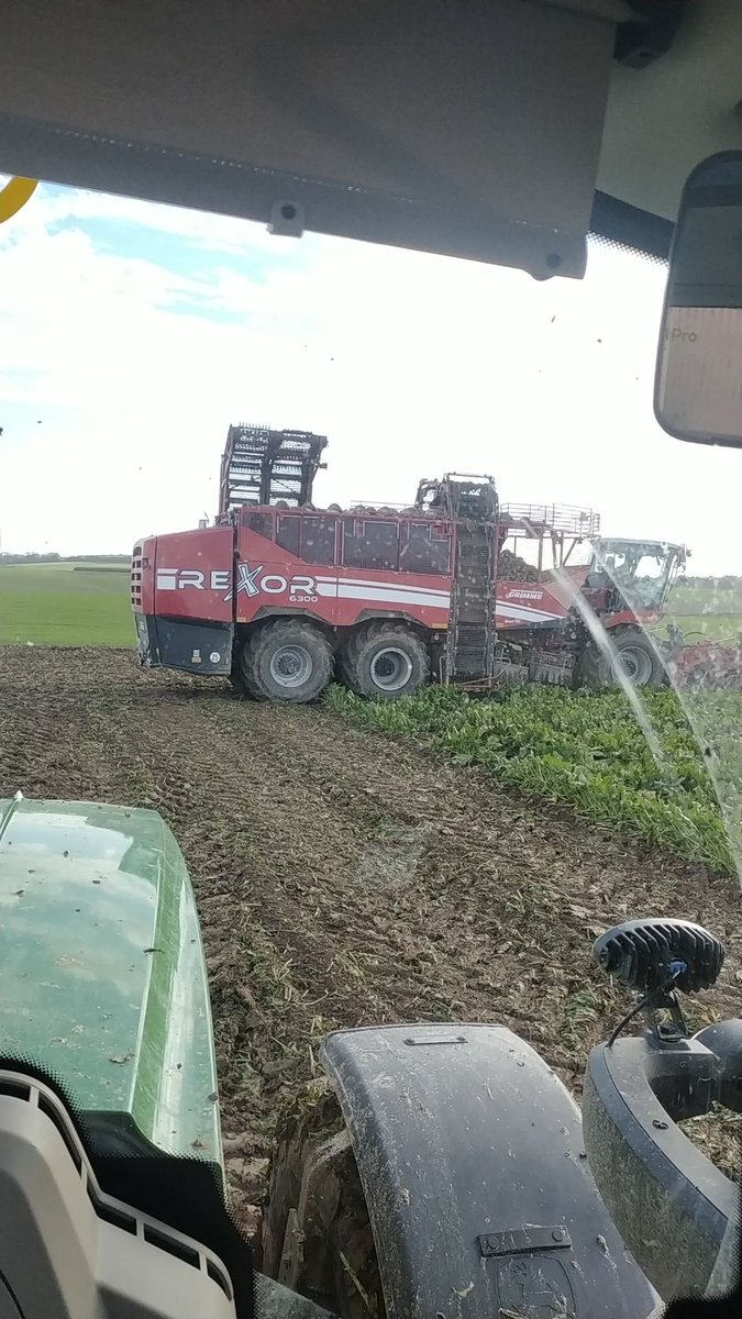 Ça y est ! Les premières betteraves sucrières de la ferme sont sorties ! Plus qu'à attendre le verdict de la pesée. <a href="/Tereos/">Tereos</a>