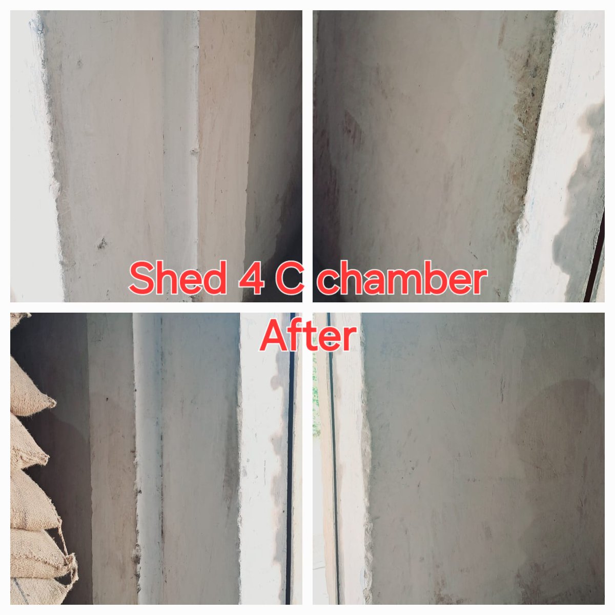 Conduction of Cleanliness Drive by FCI FSD Durgapur under FCI DO Durgapur in the 4th week of October under Special Campaign 4.0  #SpecialCampaign4 #fci
<a href="/FCI_India/">Food Corporation of India</a>
<a href="/fci_wb/">Food Corporation of India, RO, West Bengal.</a>
<a href="/EastFci/">FCI, Zonal Office (East)</a>