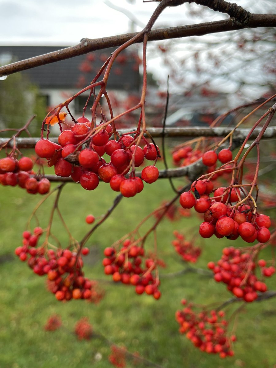 Sam Pyrah (was Murphy) tweet media