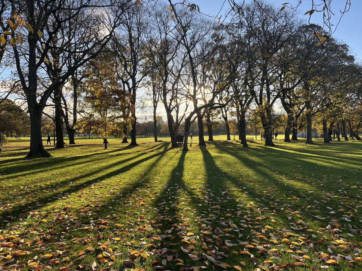 David Cowan tweet media