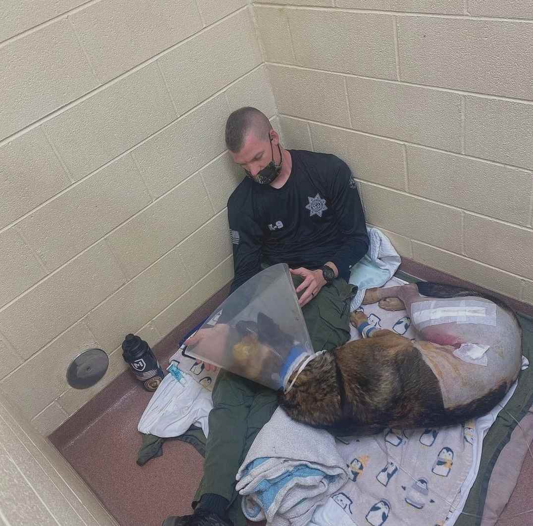 It's me, hpl! Surprise!