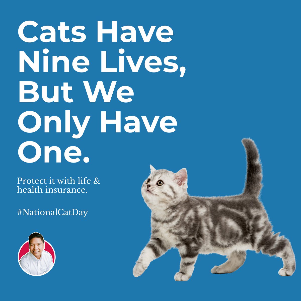 argeltiburcio's tweet photo. Our furry friends may have 9 lives, but we only get one!

Celebrate #NationalCatDay by taking steps to protect your health and your future.

Just like your cat relies on you, your family relies on your protection.

Message me to get started.

#LifeInsurance #HealthInsurance  #HMO https://t.co/GG7Mxr5cdu