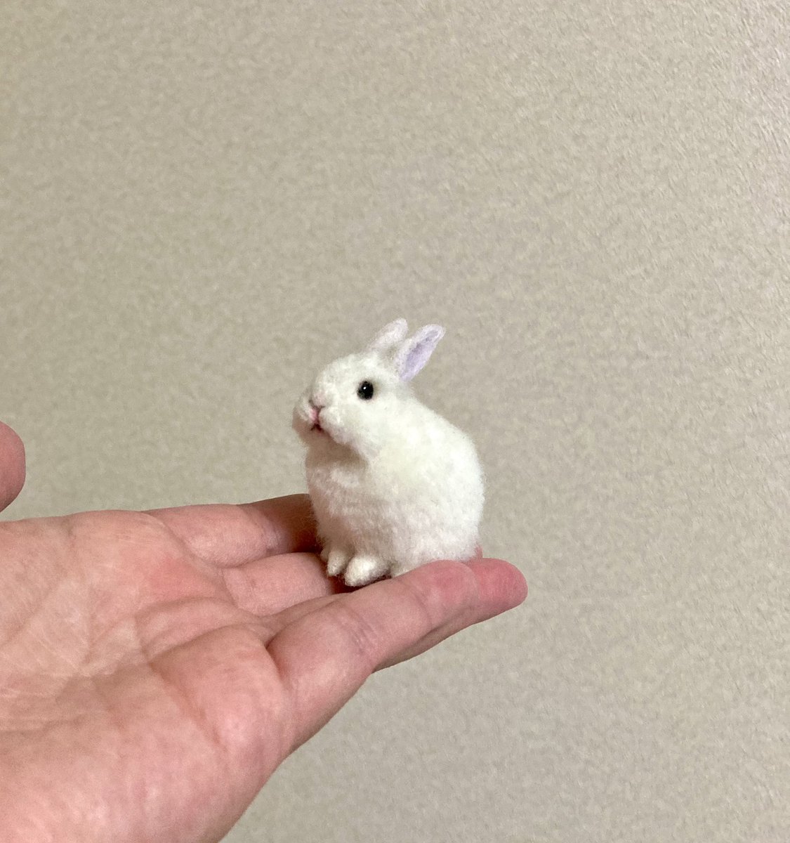 sevensbunny's tweet photo. 小さな小さな白いうさぎさん🐇

デザフェスに連れていきます🥹🫶 https://t.co/yYjEJAWlIw