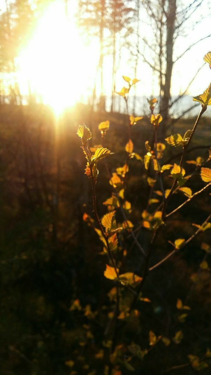 You have the power to turn your afternoon into something amazing... Believe in yourself and make it happen!

#GoodAfternoon